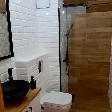 公寓 Apartament Drewniany 格但斯克